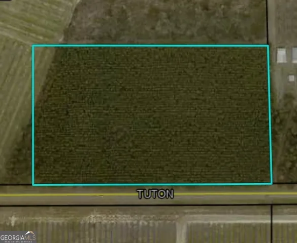 $166,800 | 0 Tuton Road, Baconton, GA 31716