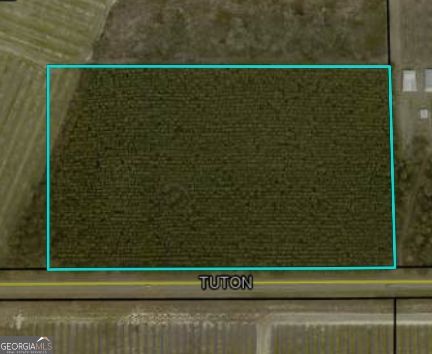 0 Tuton Road Baconton, GA 31716 - Photo 5 of 6