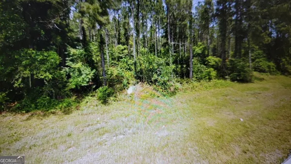 a view of a yard with a tree