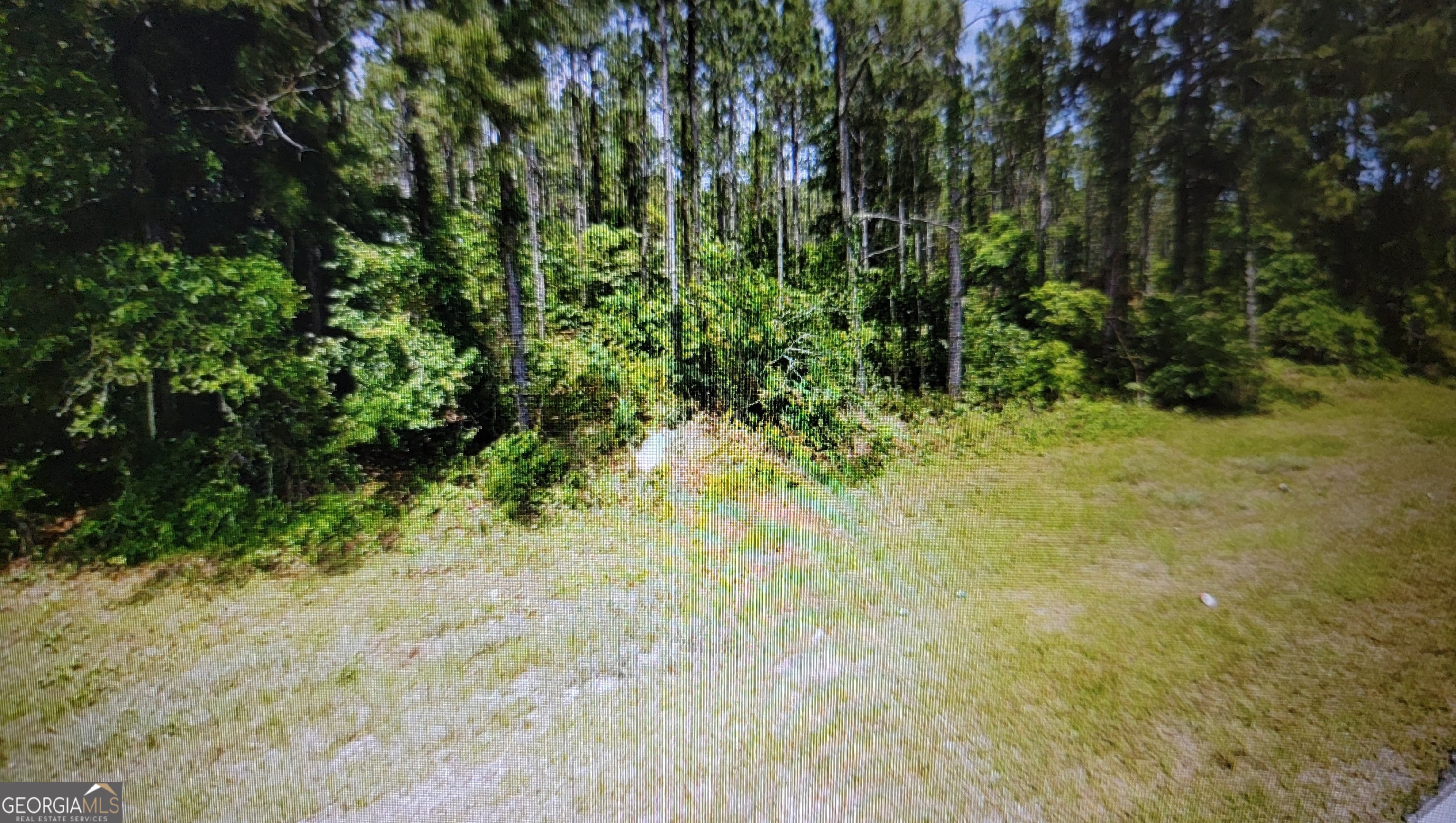 0 Tuton Road Baconton, GA 31716 - Photo 6 of 6