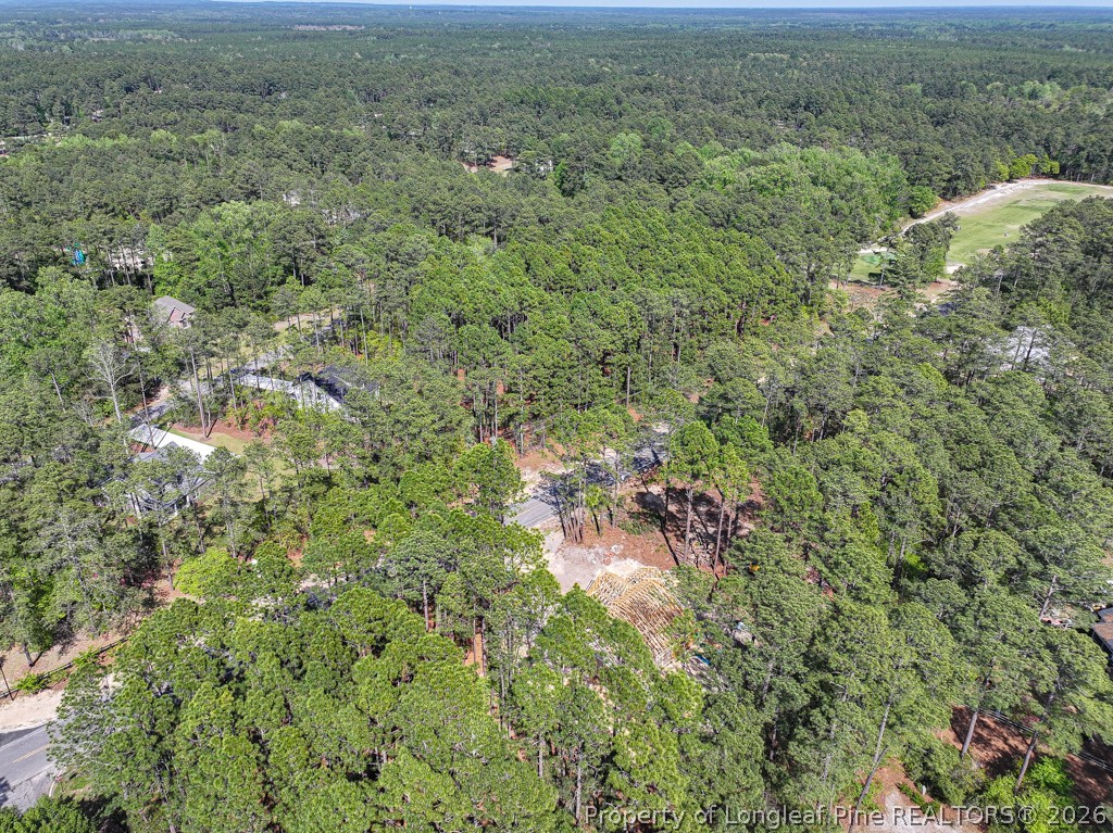 26720 Peach Orchard Road Wagram, NC 28396 - Photo 11 of 18 a view of a forest with a street