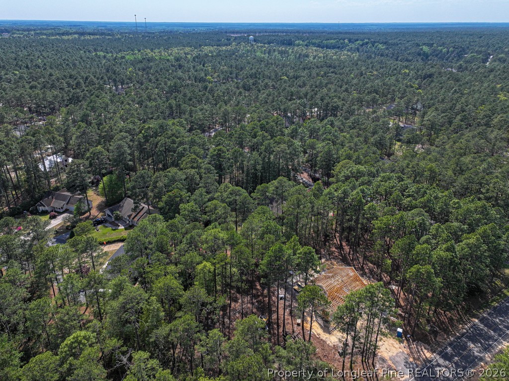 26720 Peach Orchard Road Wagram, NC 28396 - Photo 10 of 18
