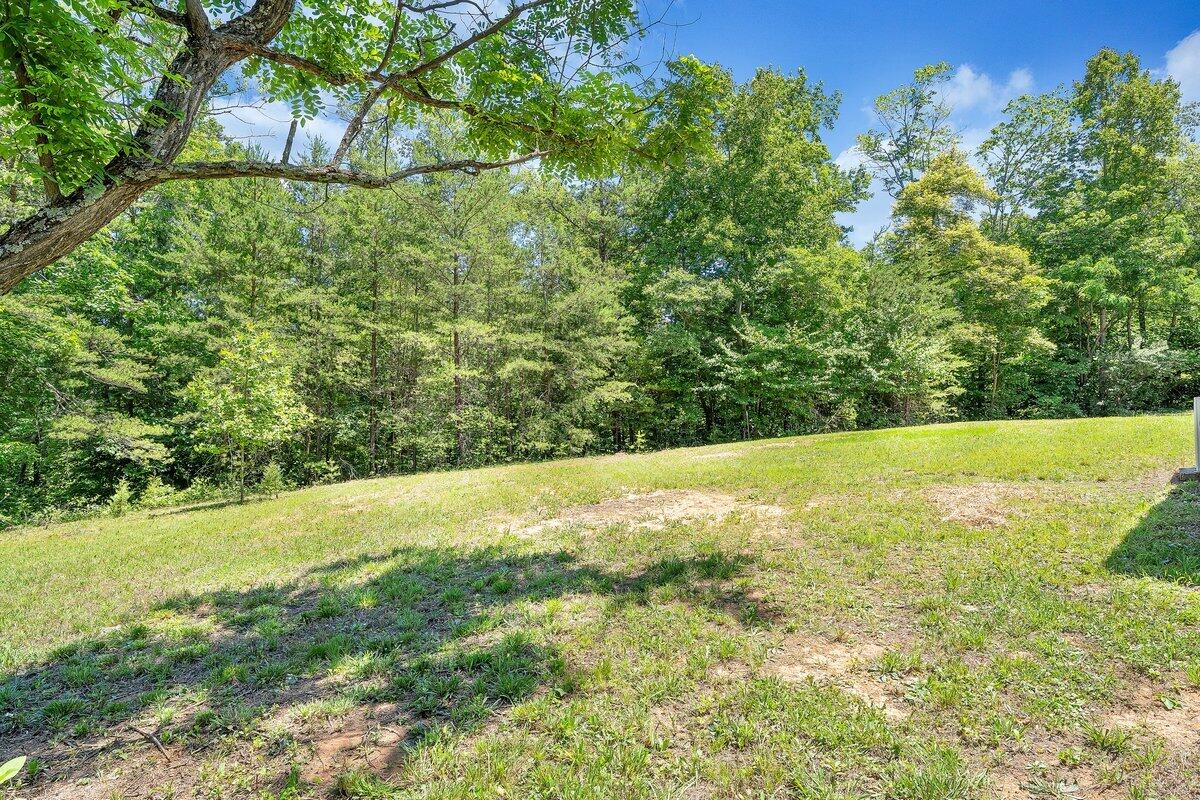 94 Bryants Lake Road Bassett, VA 24055 - Photo 36 of 46 MIB02272 (1)