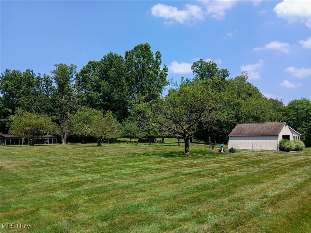 4875 Cadwallader-Sonk Road Fowler, OH 44418 - Photo 9 of 50 Backyard