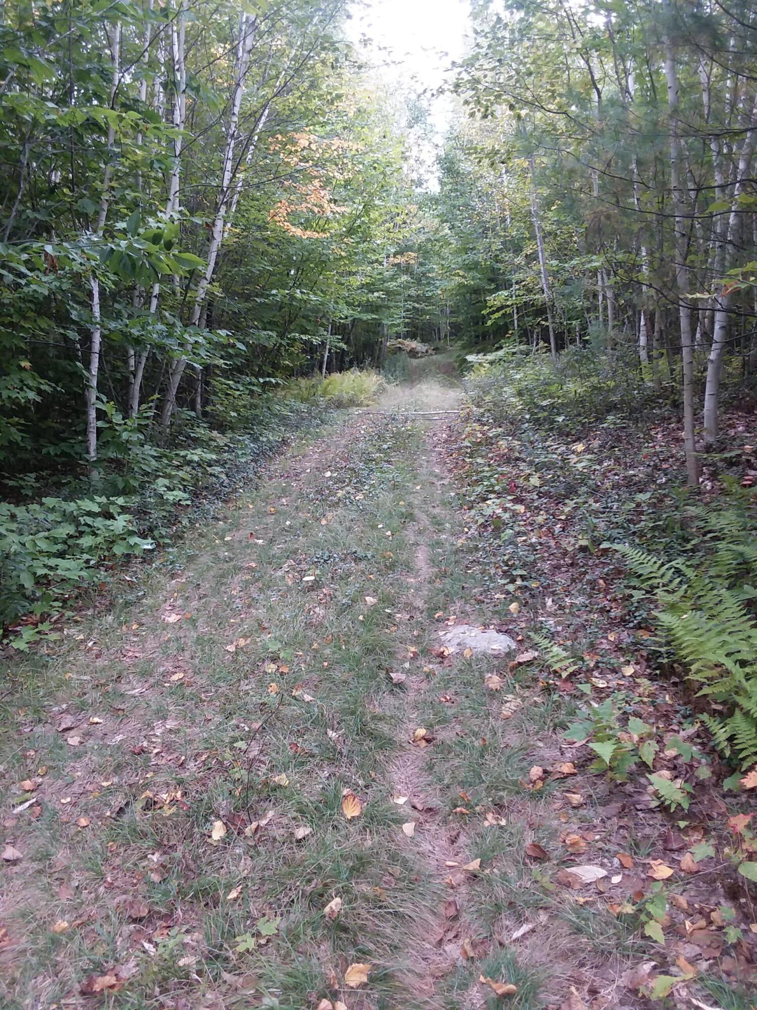 0 Mc Neil Road Fryeburg, ME 04037 - Photo 9 of 19 20210927_142028 (1)