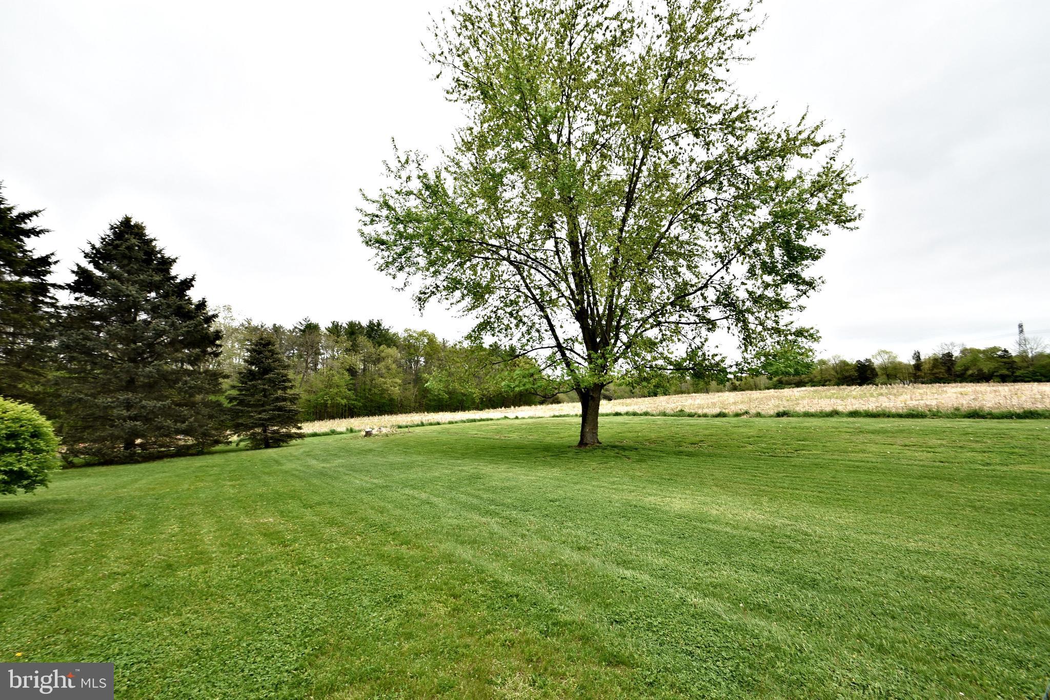 3183 Fennel Road Pennsburg, PA 18073 - Photo 45 of 48 Backyard View