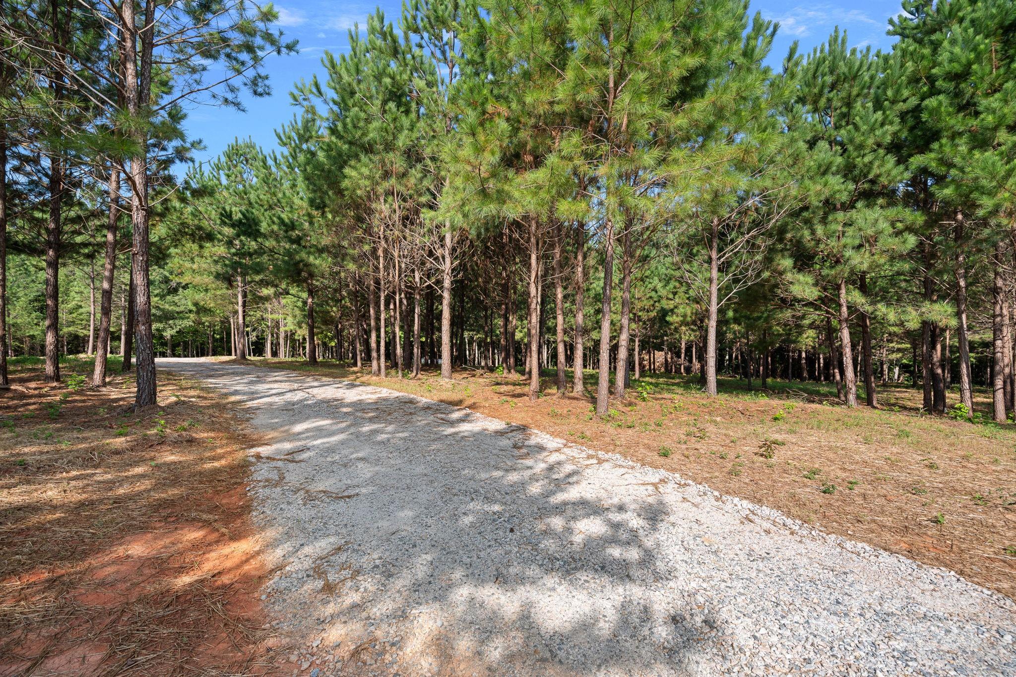 1543-1573 Sherrer Road York, SC 29745 - Photo 5 of 23 Gallery Image 5