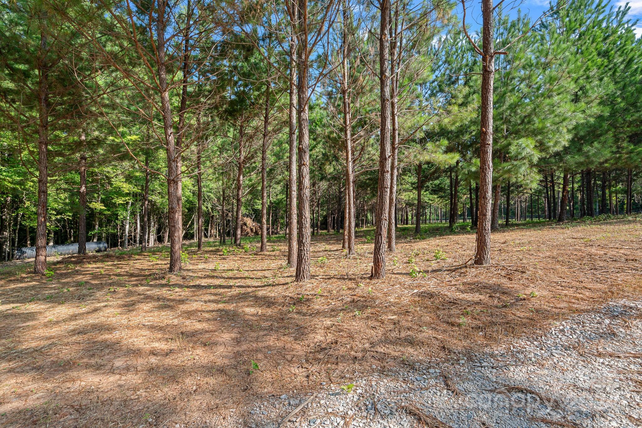 1543-1573 Sherrer Road York, SC 29745 - Photo 6 of 23 Gallery Image 6