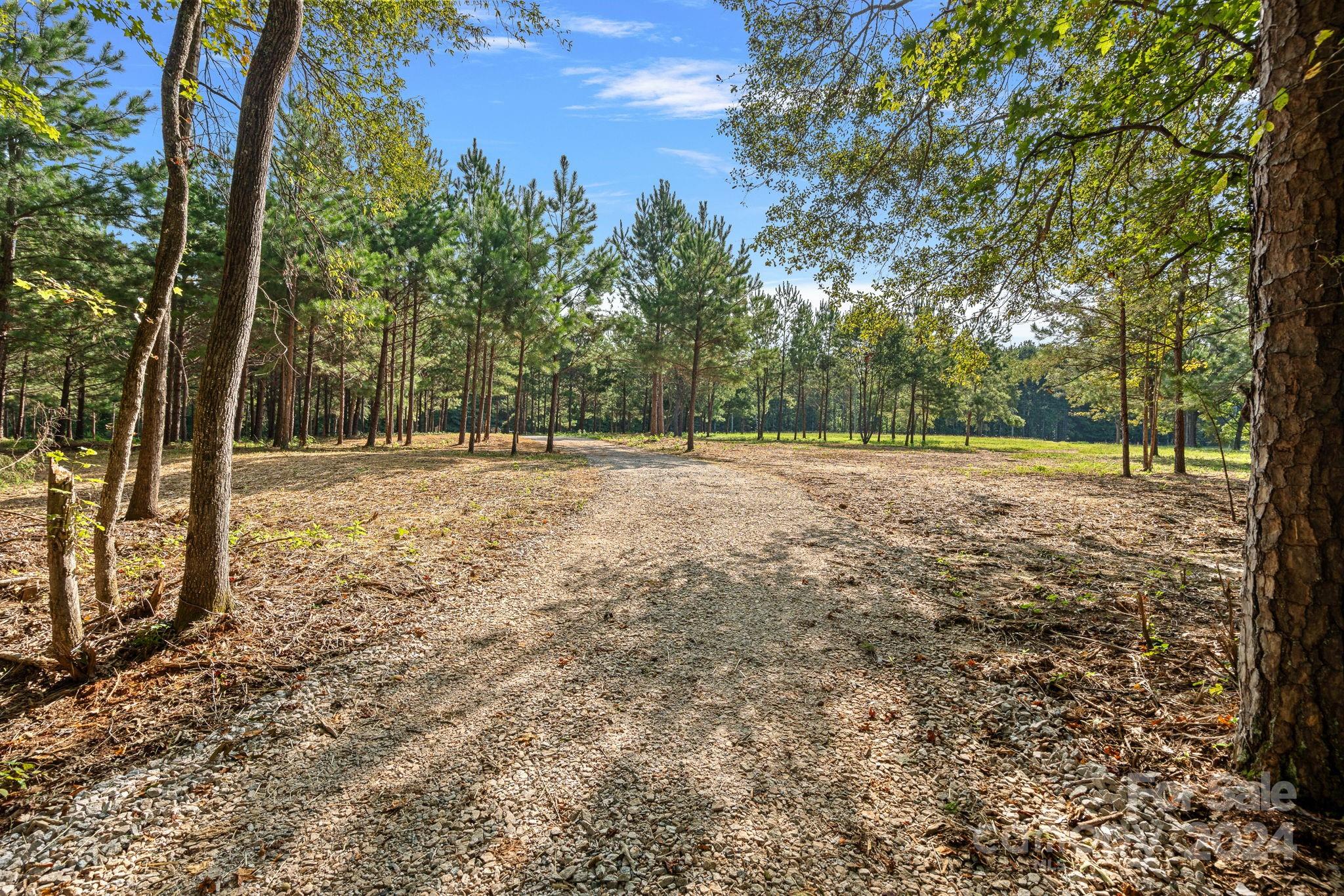 1543-1573 Sherrer Road York, SC 29745 - Photo 9 of 23 Gallery Image 9