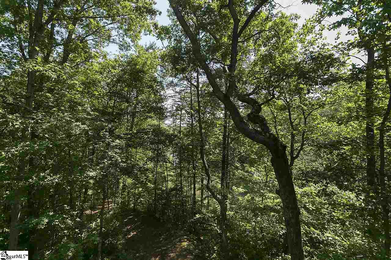 318 Big Rock Lake Road Pickens, SC 29671 - Photo 31 of 36 Gallery Image 31