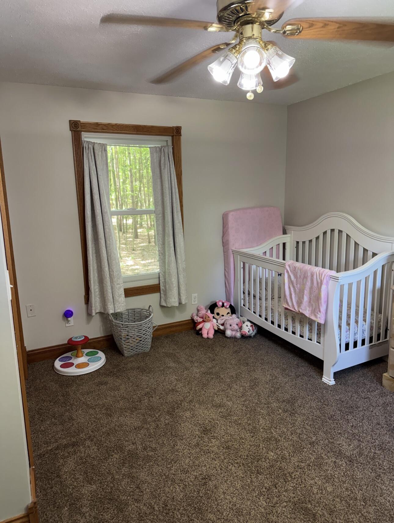 9462 East Colby Road Crystal, MI 48818 - Photo 33 of 51 IMG_9023