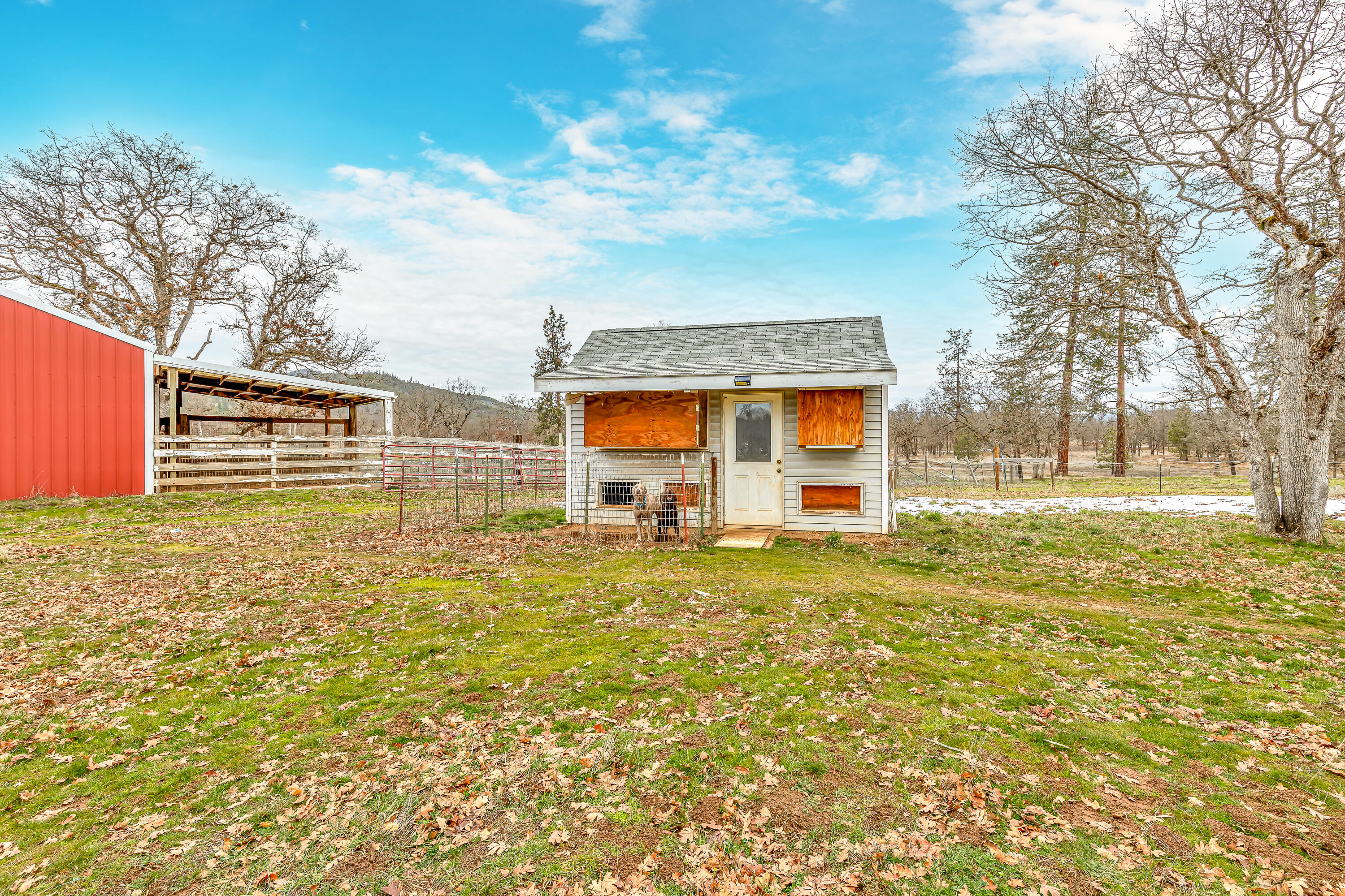 11001 Meadows Road White City, OR 97503 - Photo 34 of 60 9R9A6334