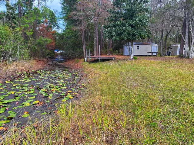a house with trees in front of it
