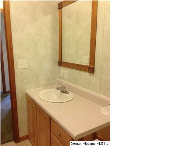 5055 Cragford Road Ashland, AL 36251 - Photo 22 of 24