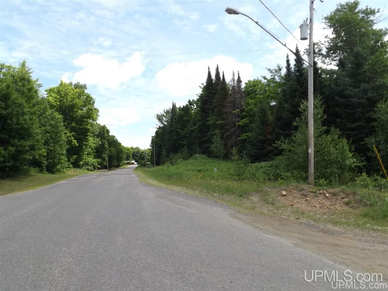 Tbd South Olson Lake Road Michigamme, MI 49861 - Photo 10 of 25