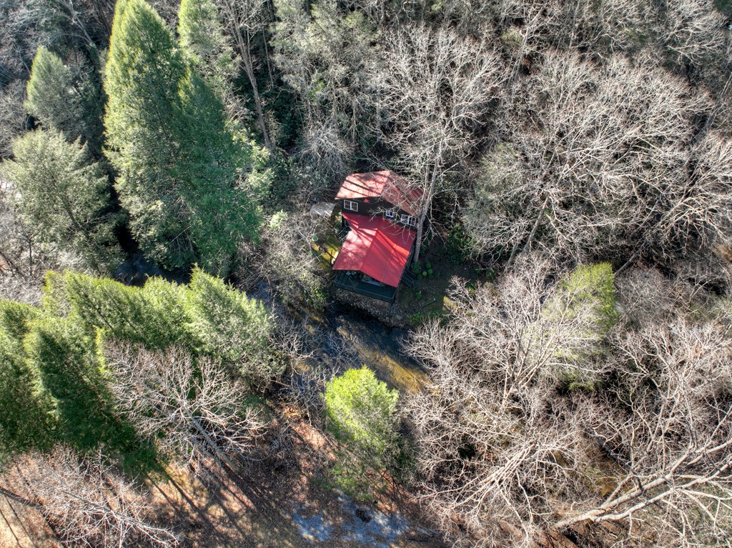 129 Old Bend Road Blue Ridge, GA 30513 - Photo 73 of 74 Gallery Image 73