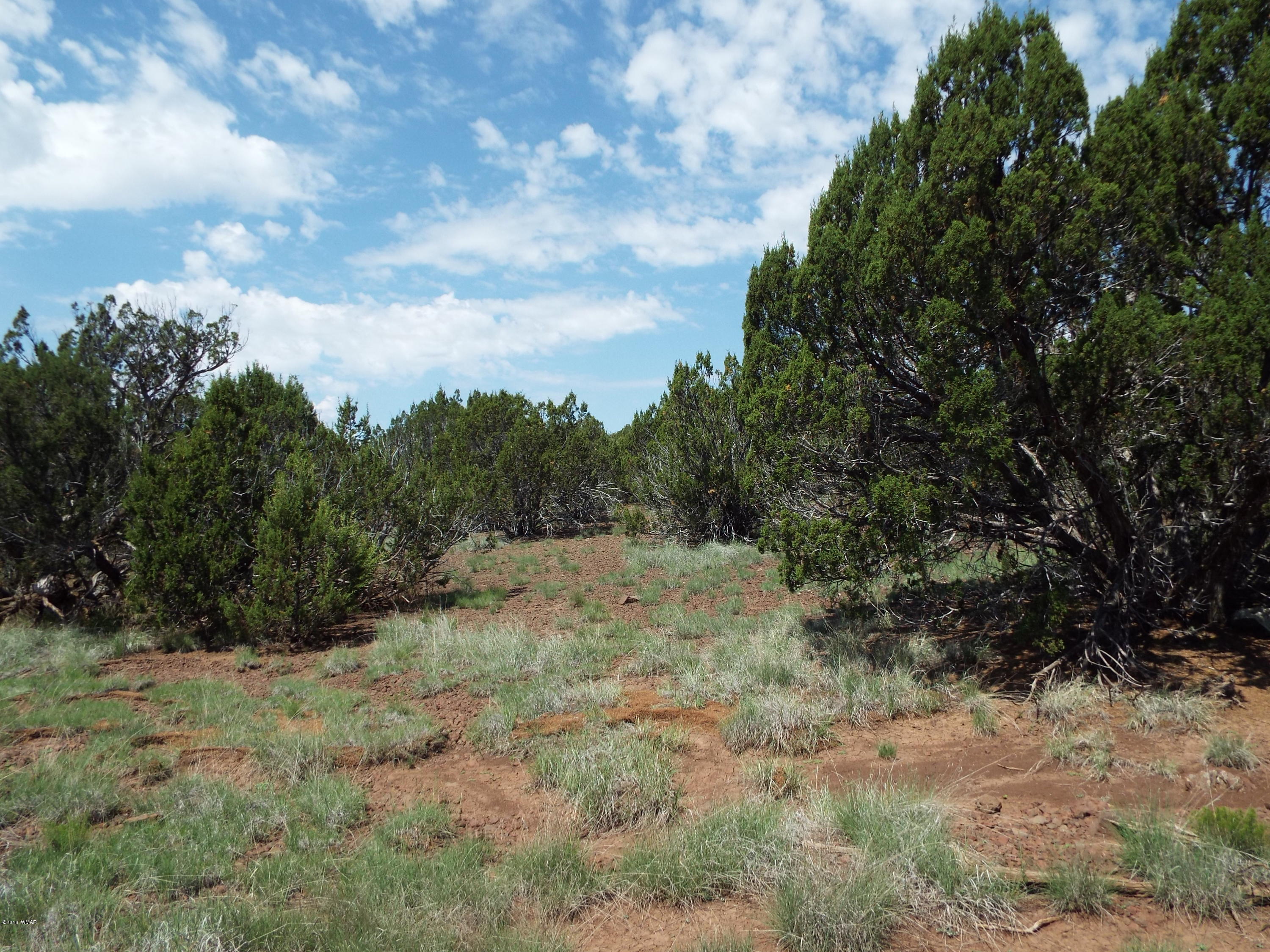 Lot G St Concho Az 85924 Concho, AZ 85924 - Photo 11 of 21