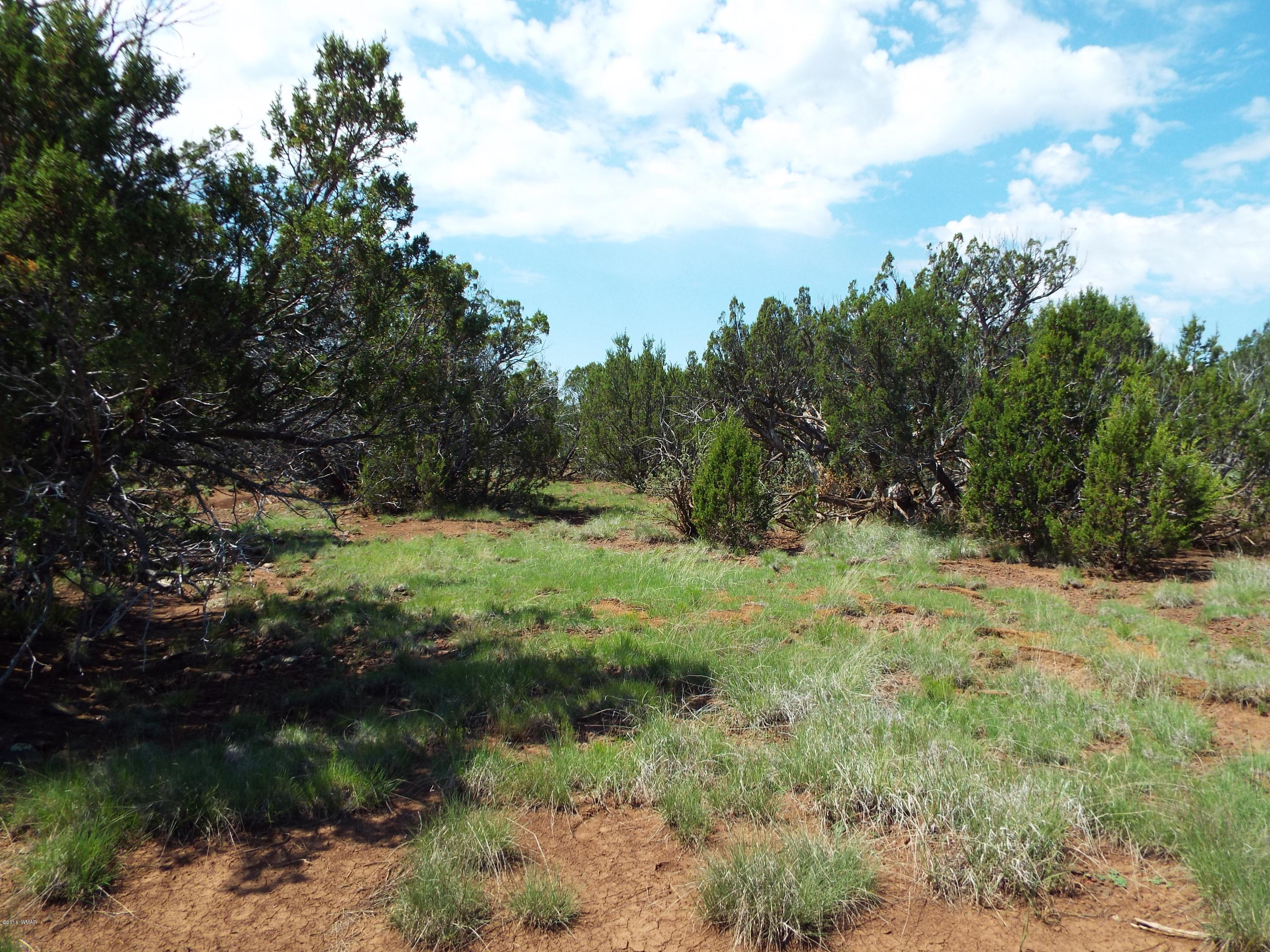 Lot G St Concho Az 85924 Concho, AZ 85924 - Photo 12 of 21