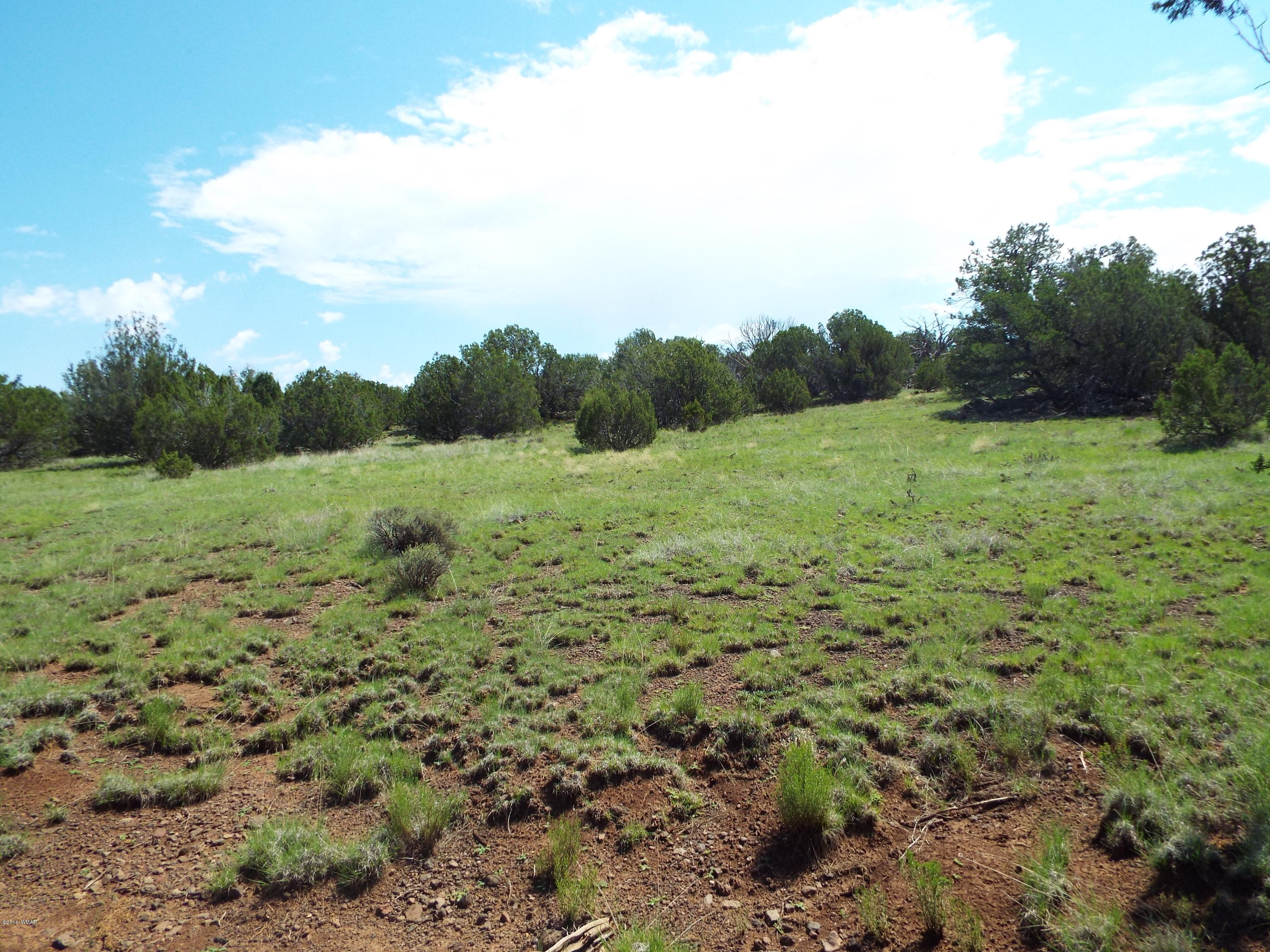 Lot G St Concho Az 85924 Concho, AZ 85924 - Photo 13 of 21