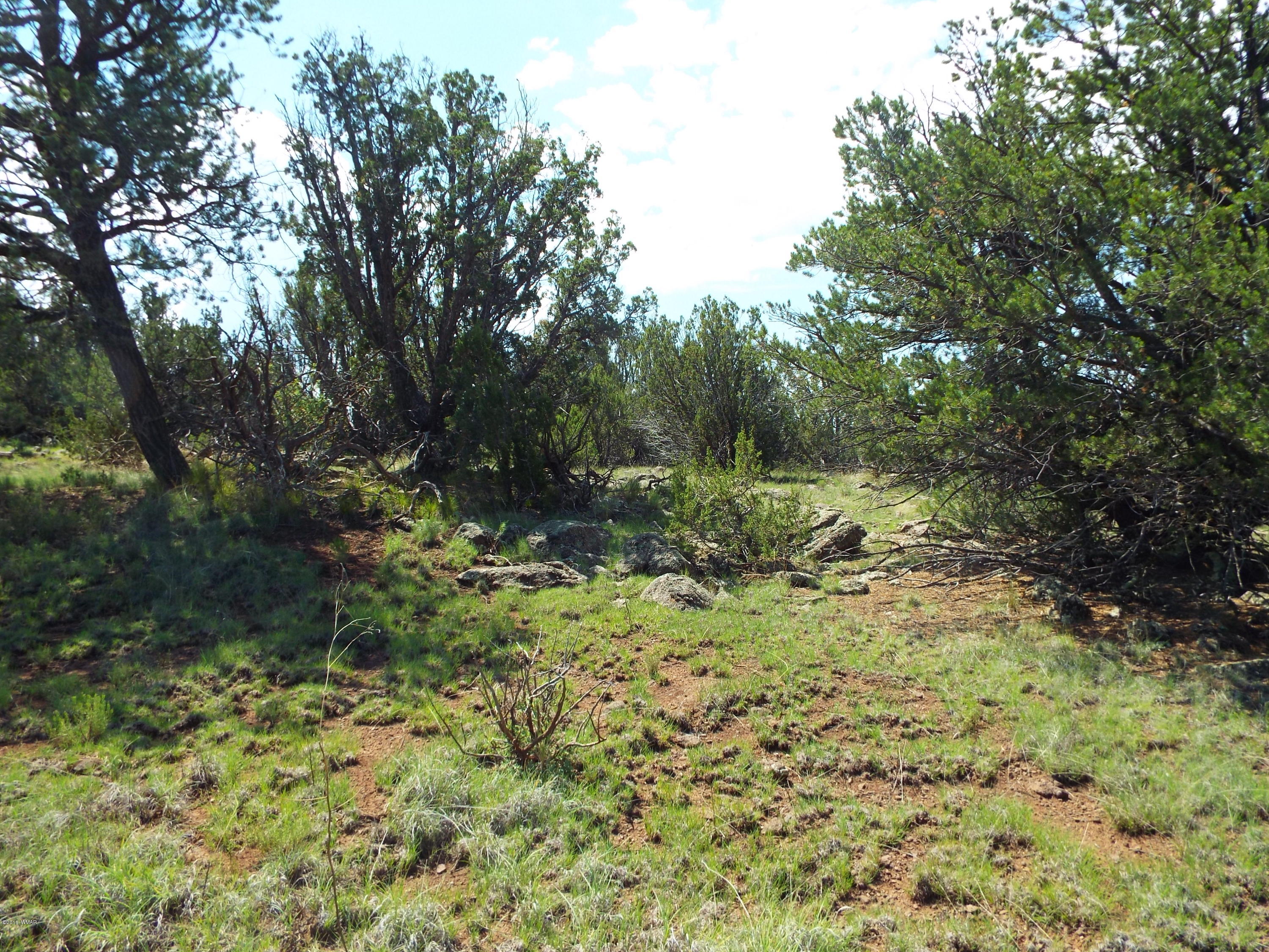 Lot G St Concho Az 85924 Concho, AZ 85924 - Photo 14 of 21