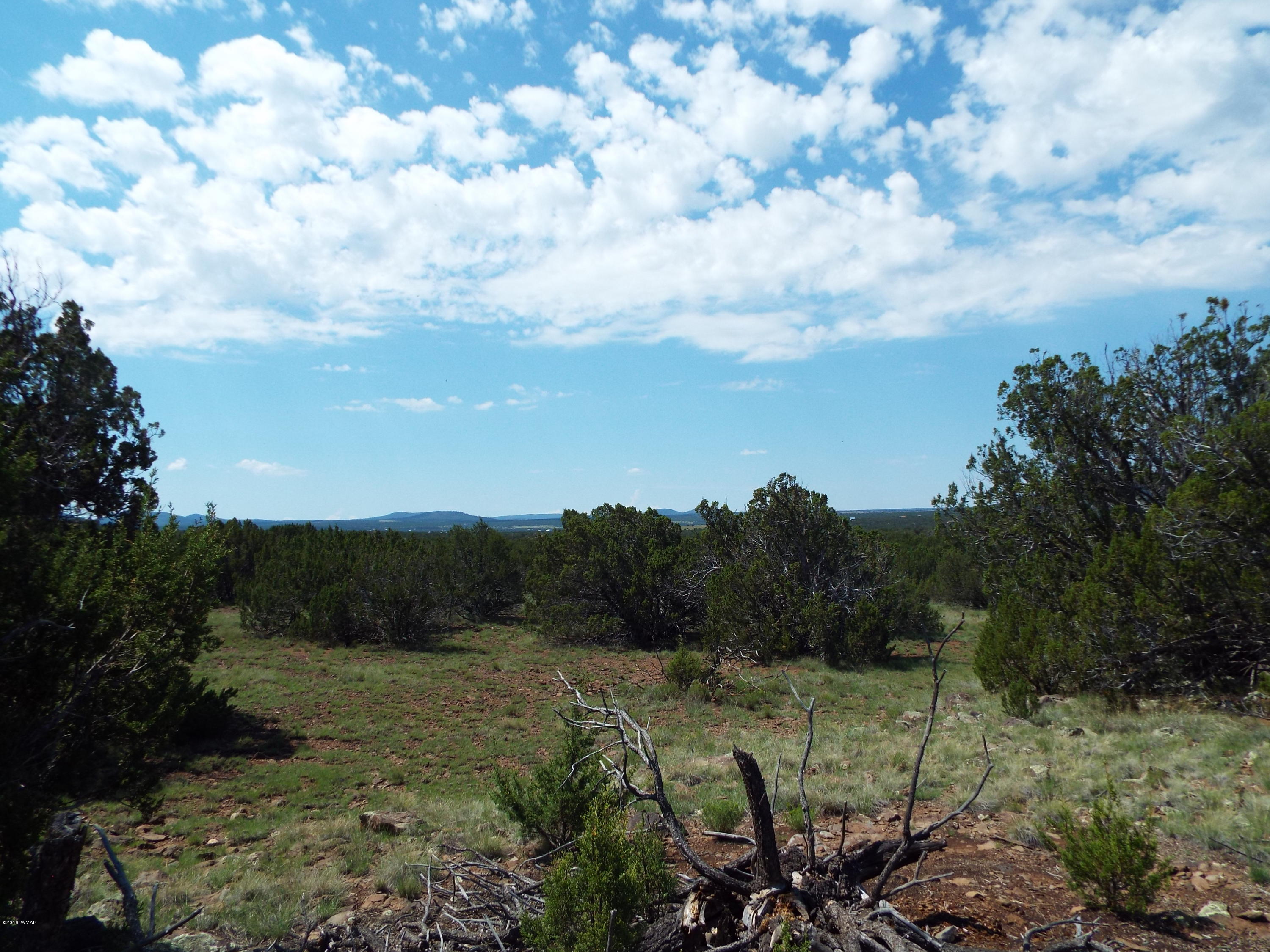 Lot G St Concho Az 85924 Concho, AZ 85924 - Photo 15 of 21