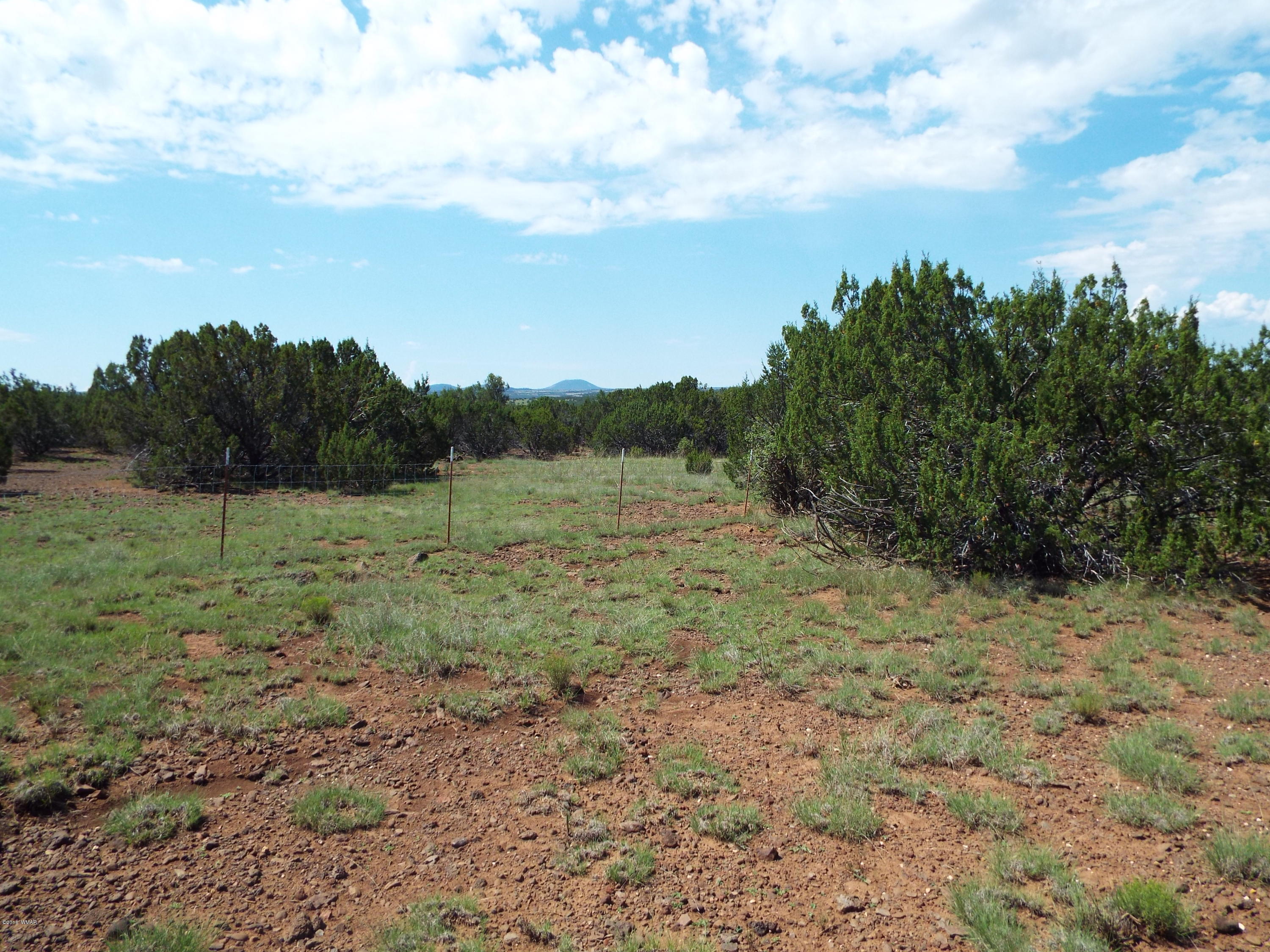 Lot G St Concho Az 85924 Concho, AZ 85924 - Photo 16 of 21