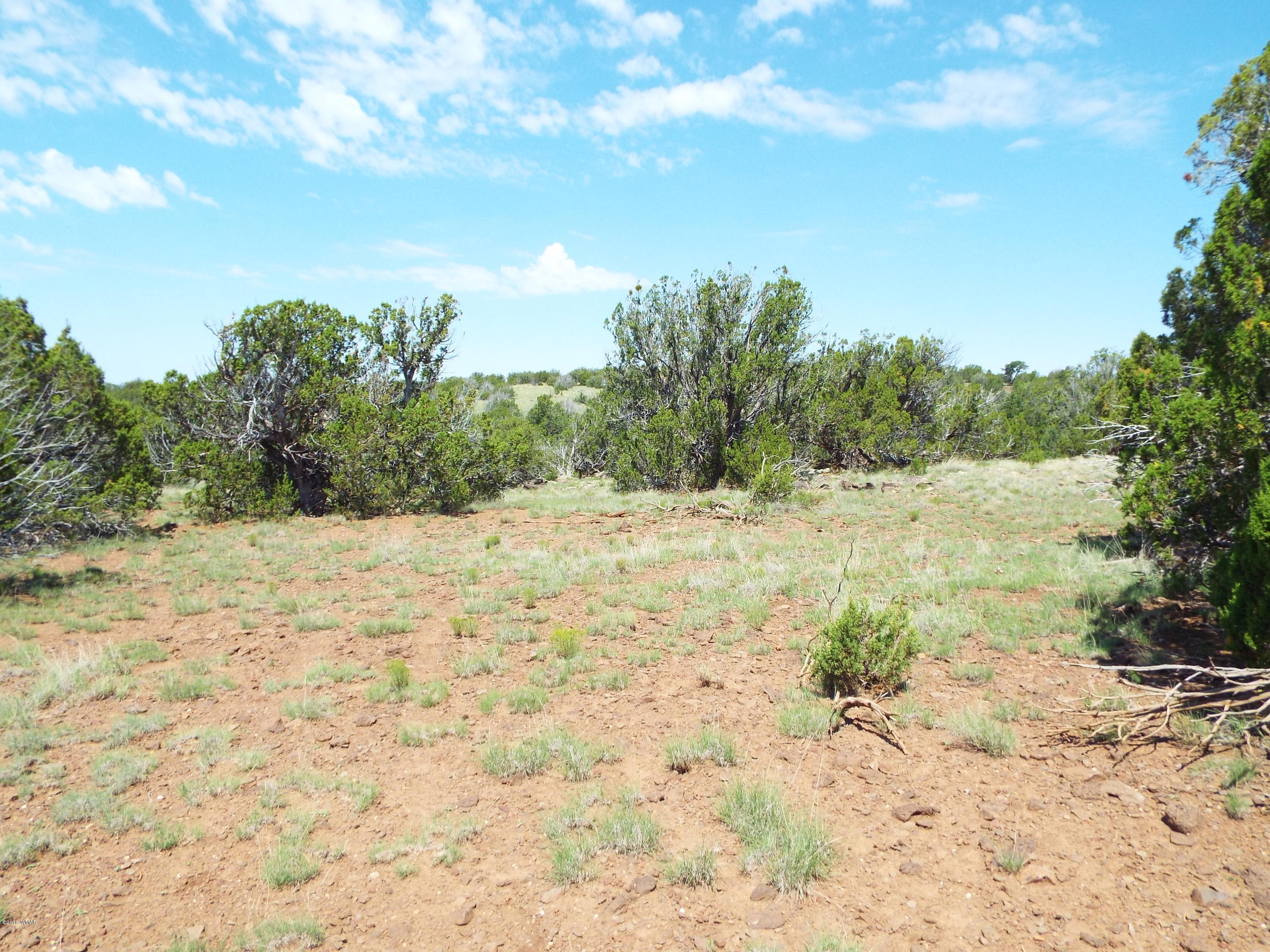Lot G St Concho Az 85924 Concho, AZ 85924 - Photo 17 of 21