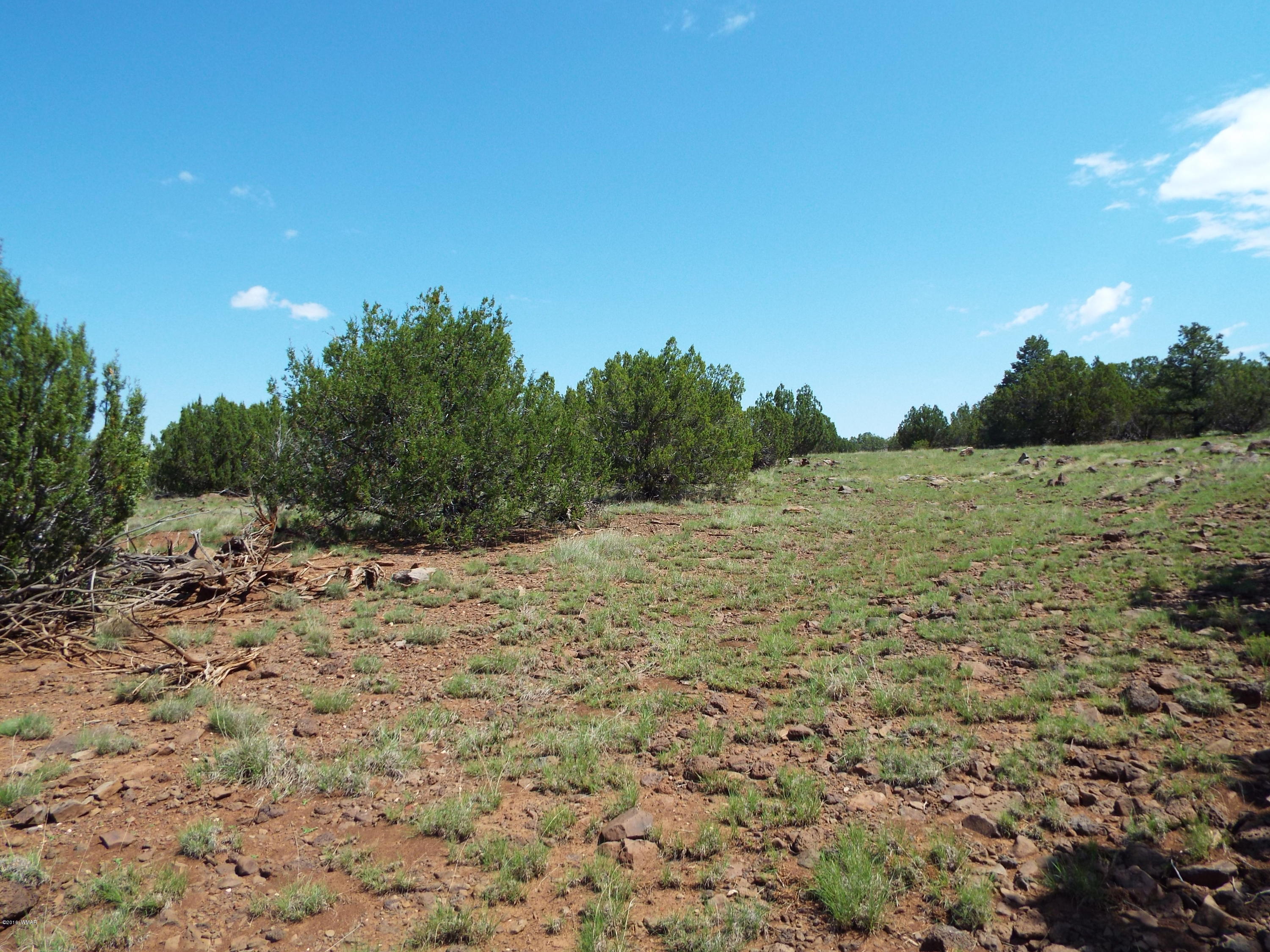 Lot G St Concho Az 85924 Concho, AZ 85924 - Photo 18 of 21