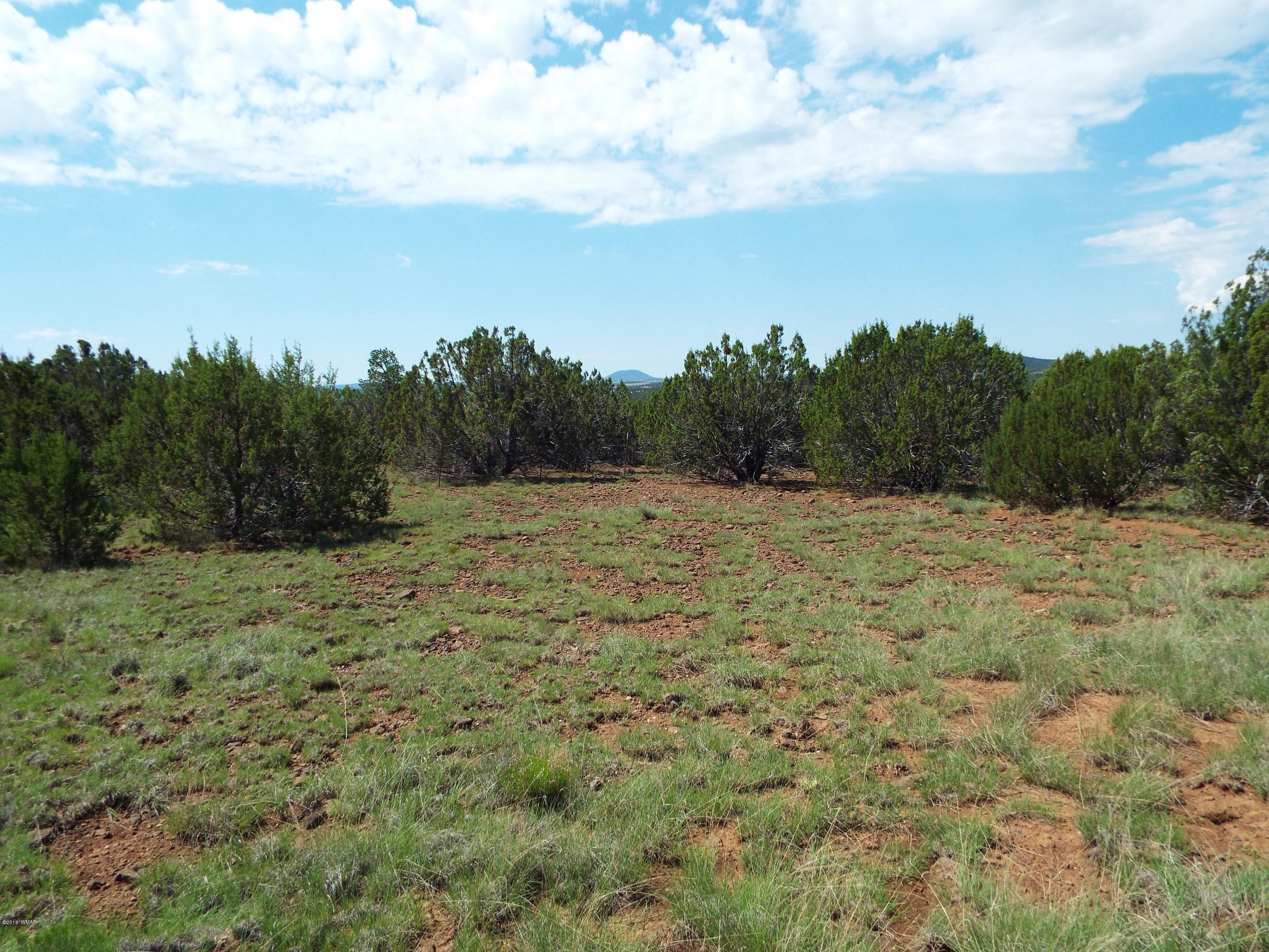 Lot G St Concho Az 85924 Concho, AZ 85924 - Photo 19 of 21