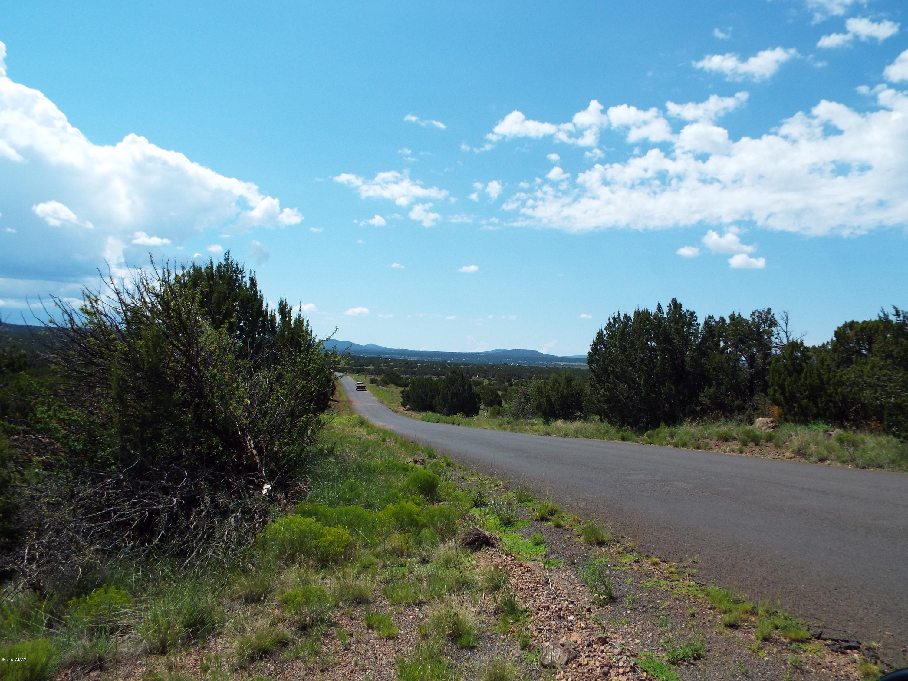 Lot G St Concho Az 85924 Concho, AZ 85924 - Photo 20 of 21