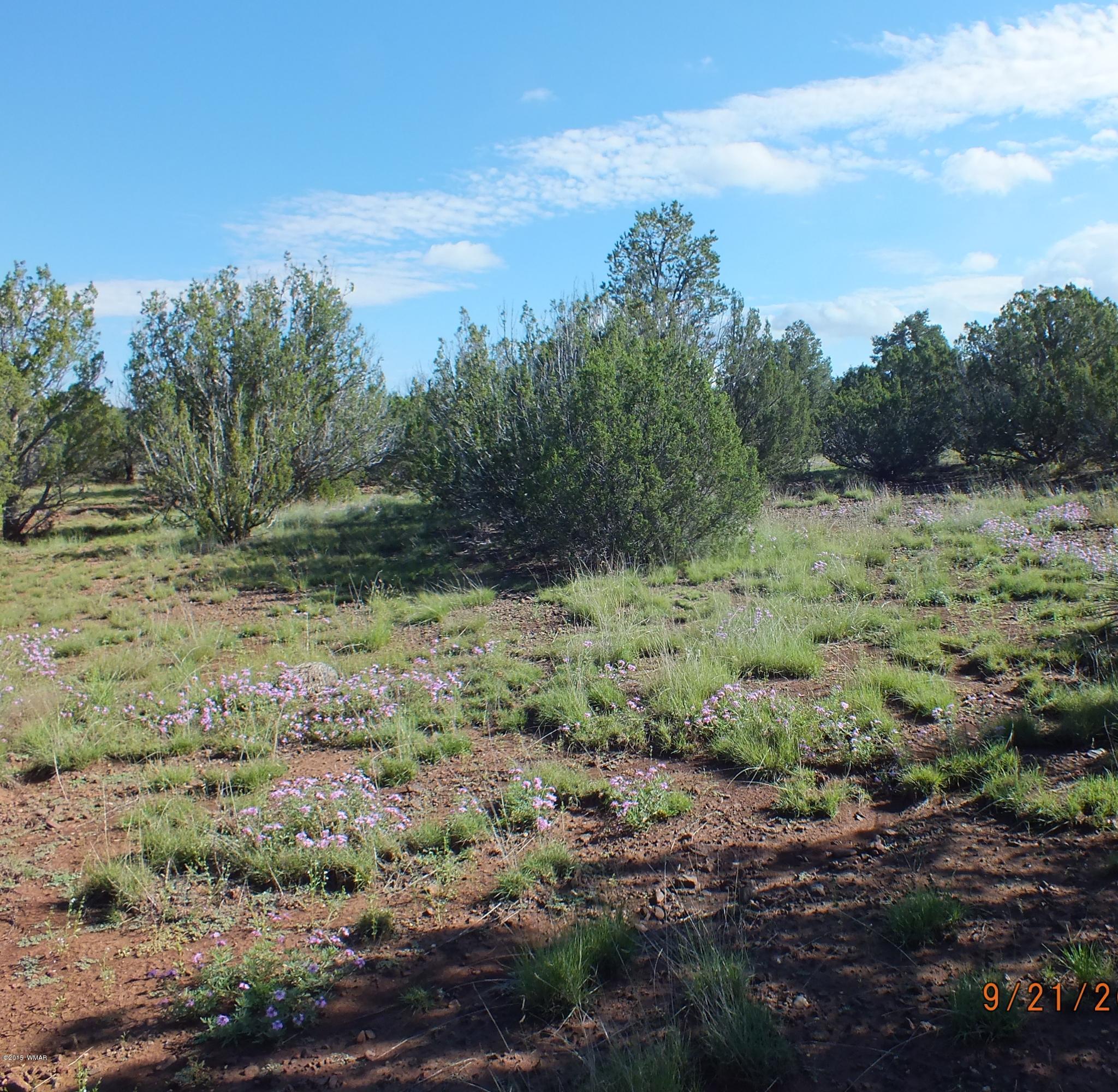 Lot G St Concho Az 85924 Concho, AZ 85924 - Photo 2 of 21