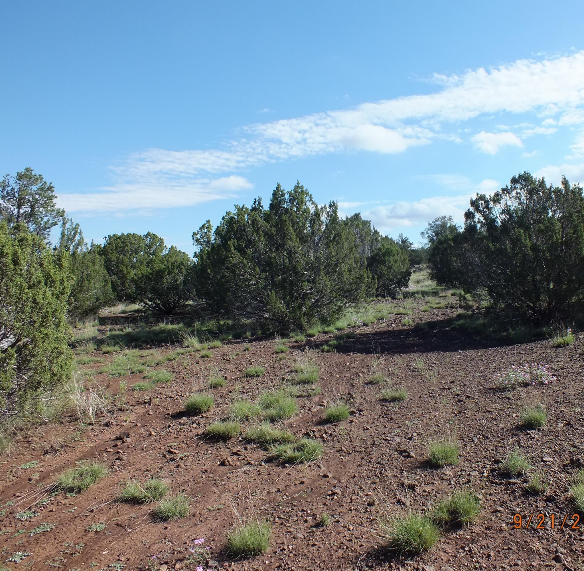 Lot G St Concho Az 85924 Concho, AZ 85924 - Photo 3 of 21