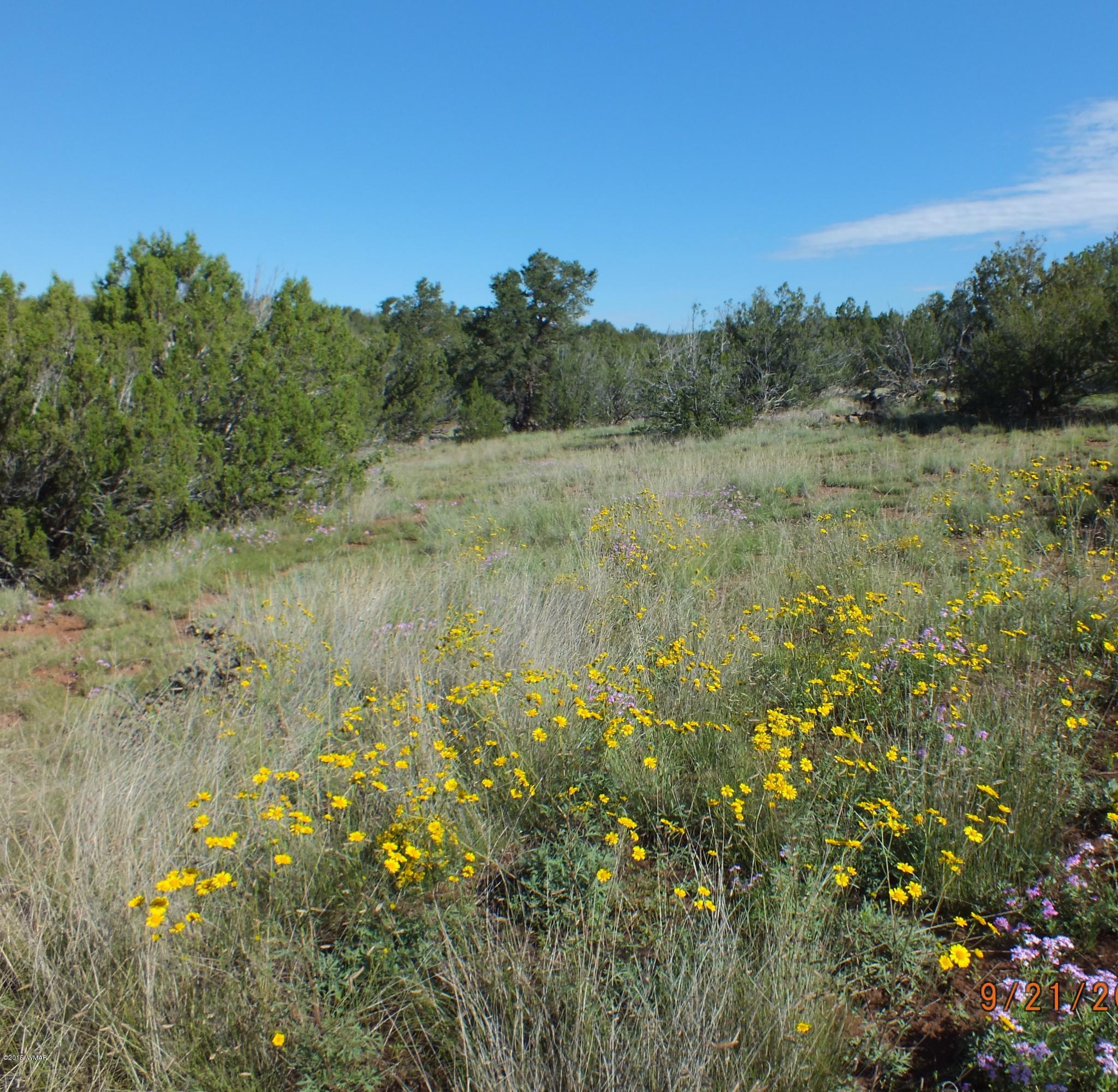 Lot G St Concho Az 85924 Concho, AZ 85924 - Photo 4 of 21