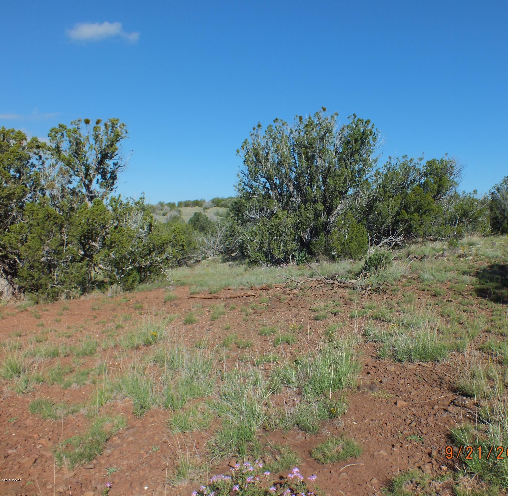 Lot G St Concho Az 85924 Concho, AZ 85924 - Photo 5 of 21