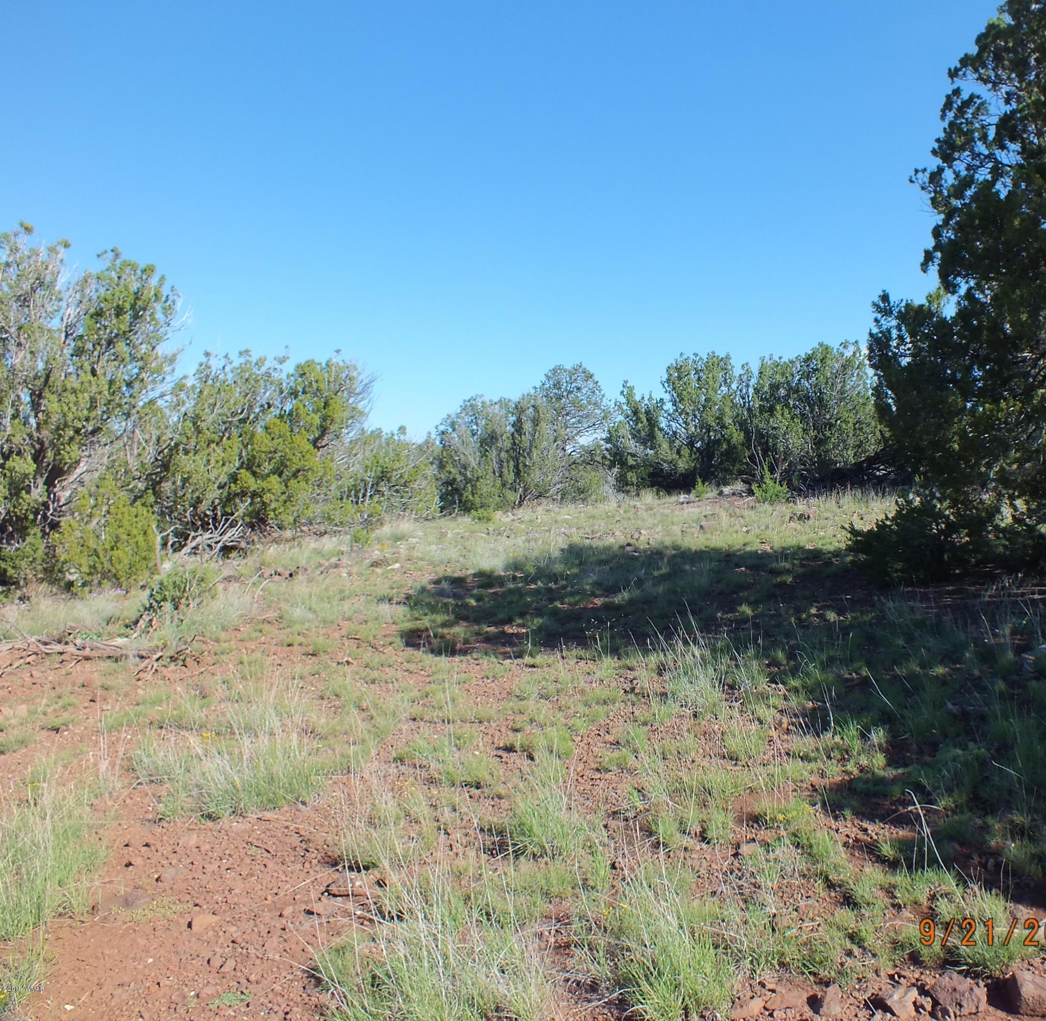 Lot G St Concho Az 85924 Concho, AZ 85924 - Photo 6 of 21