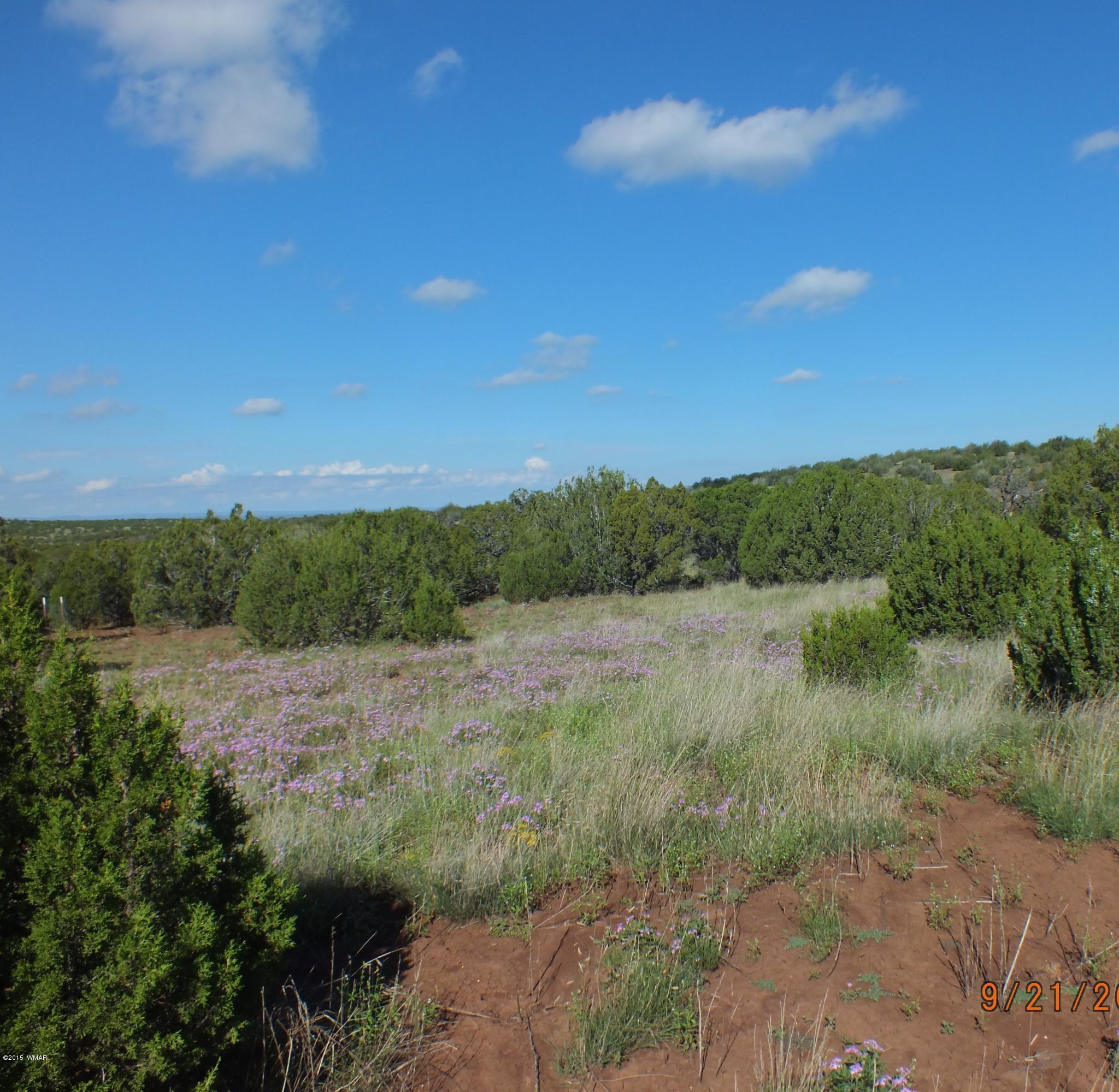 Lot G St Concho Az 85924 Concho, AZ 85924 - Photo 7 of 21
