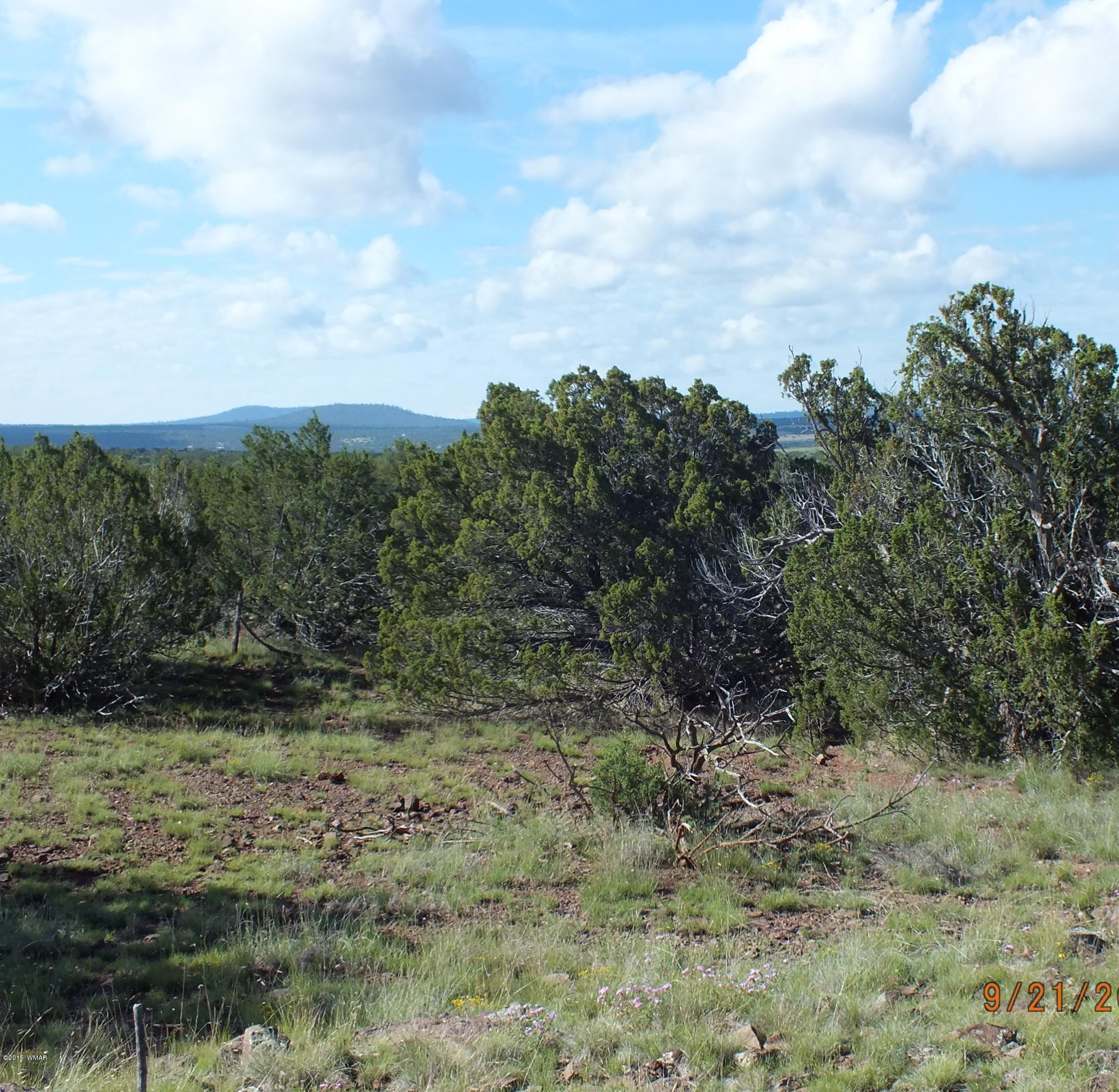 Lot G St Concho Az 85924 Concho, AZ 85924 - Photo 8 of 21