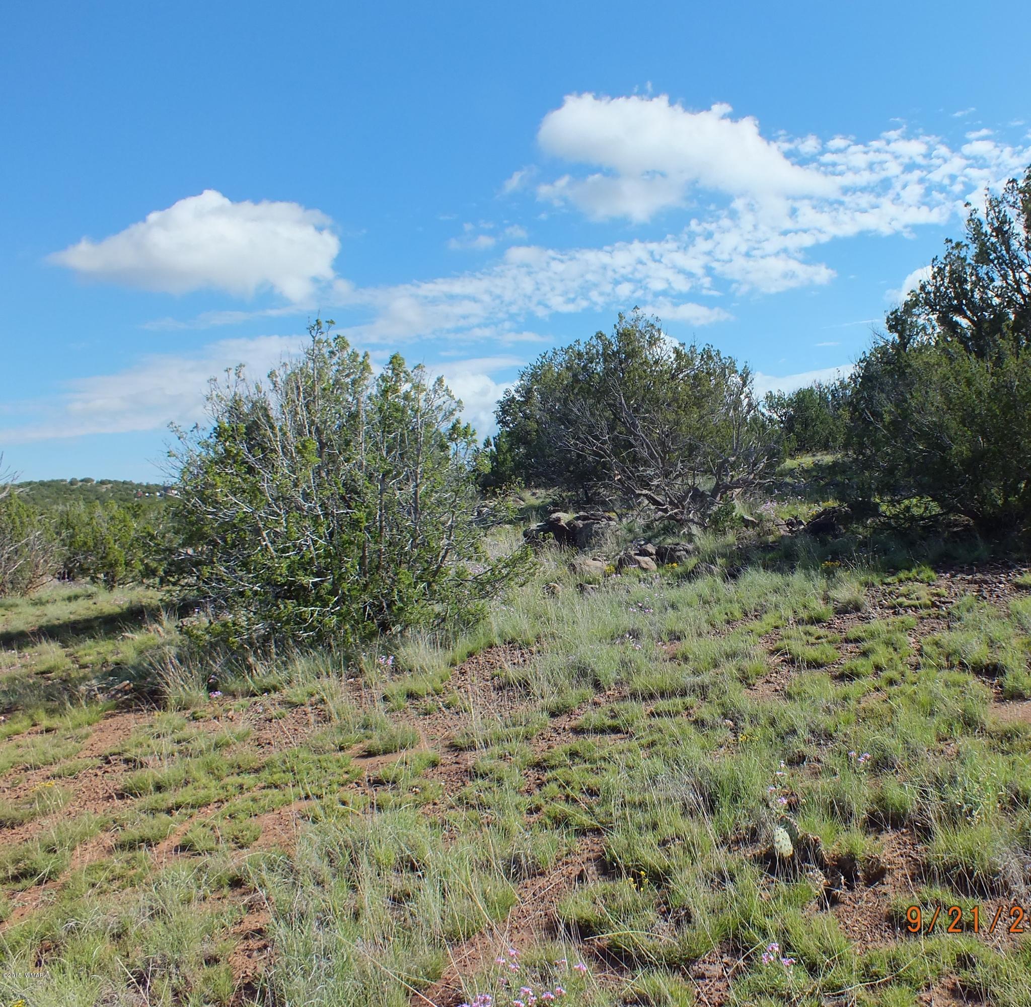 Lot G St Concho Az 85924 Concho, AZ 85924 - Photo 9 of 21