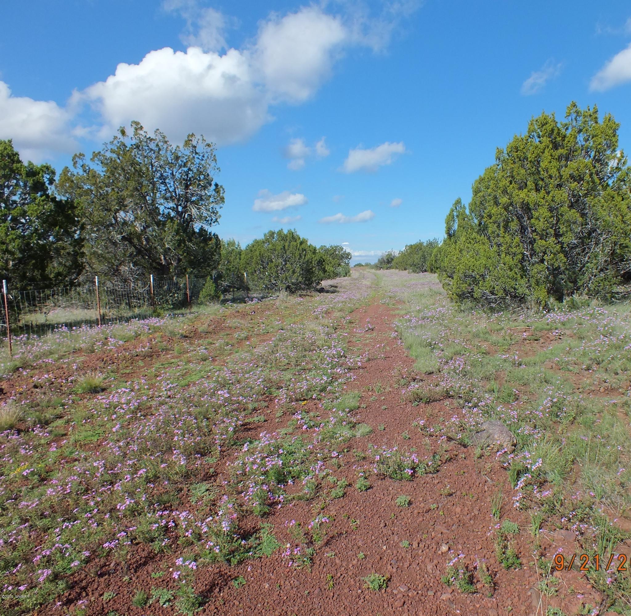 Lot G St Concho Az 85924 Concho, AZ 85924 - Photo 10 of 21