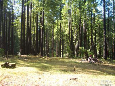 22171 Ruoff Road Timber Cove, CA 95450 - Photo 1 of 1 Incredible property where owner has cleared and thinned trees and site is ready for your dream home.