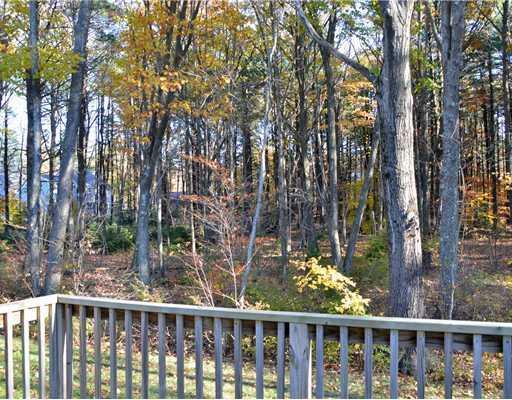 3 Blueberry Road Cape Elizabeth, ME 04107 - Photo 4 of 17 Yard/Garden.