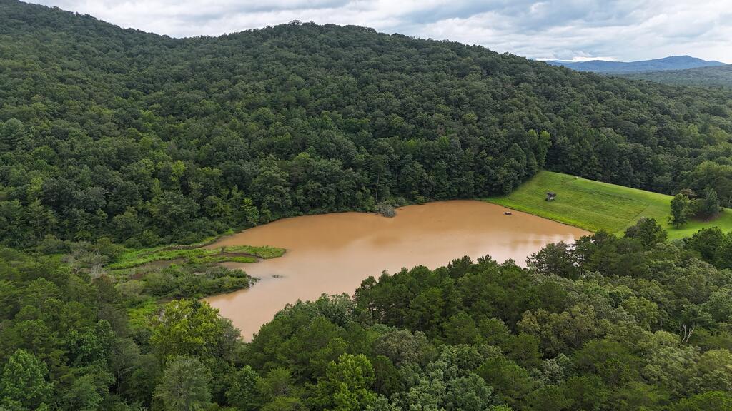 0 Roy Road Ellijay, GA 30536 - Photo 10 of 23 Gallery Image 10