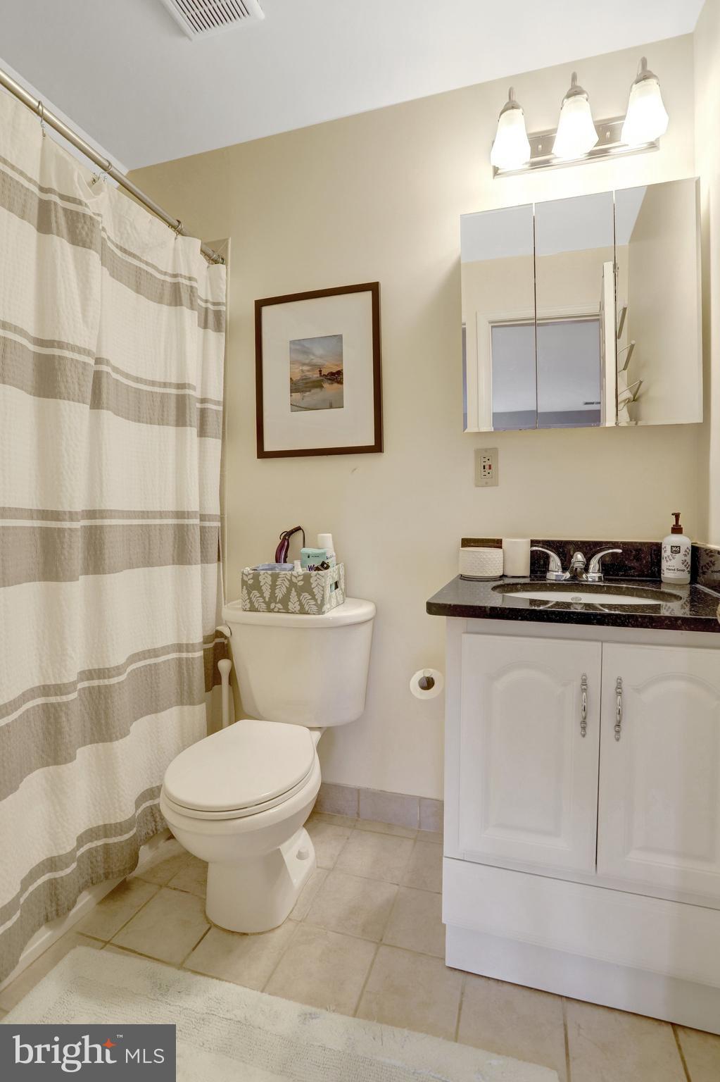 2101 North Rolfe Street, Unit C Arlington, VA 22209 - Photo 20 of 26 a bathroom with a sink toilet and shower
