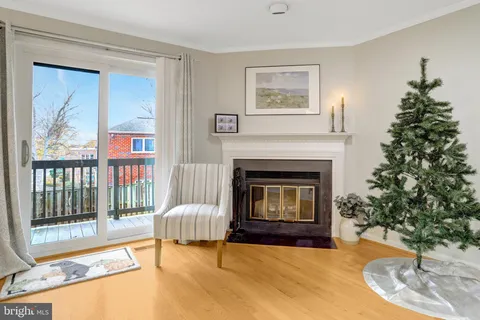 a living room with a couch a fireplace and a potted plant