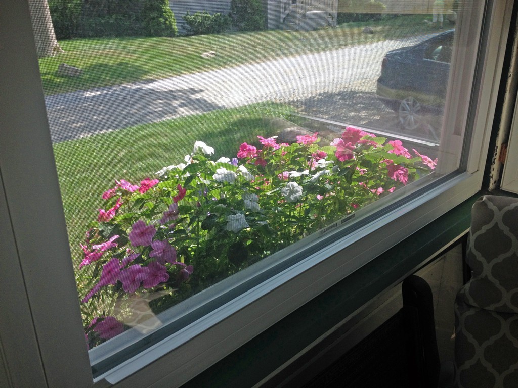 11 Beach Road Mattapoisett, MA 02739 - Photo 6 of 15 Gallery Image 6