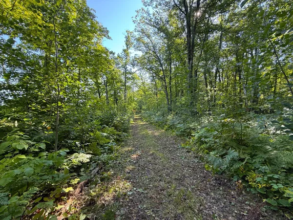 $479,000 | Xxx 60th Avenue, Wahkon, MN 56386