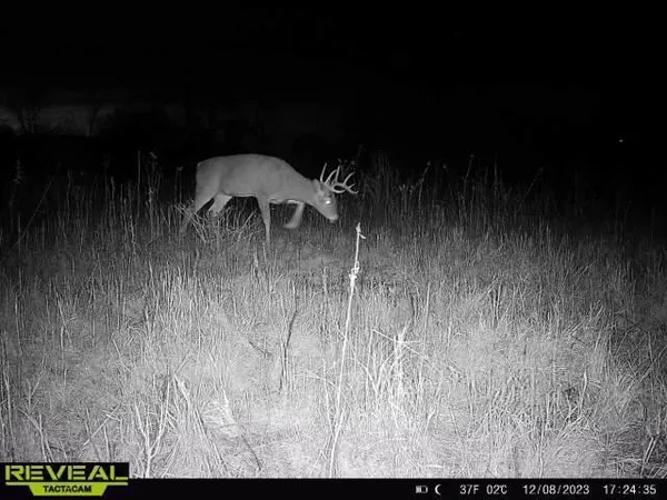 $479,000 | Xxx 60th Avenue, Wahkon, MN 56386