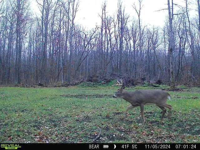 $479,000 | Xxx 60th Avenue, Wahkon, MN 56386