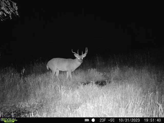 $479,000 | Xxx 60th Avenue, Wahkon, MN 56386