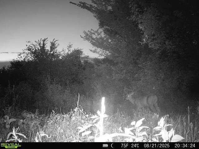 $479,000 | Xxx 60th Avenue, Wahkon, MN 56386